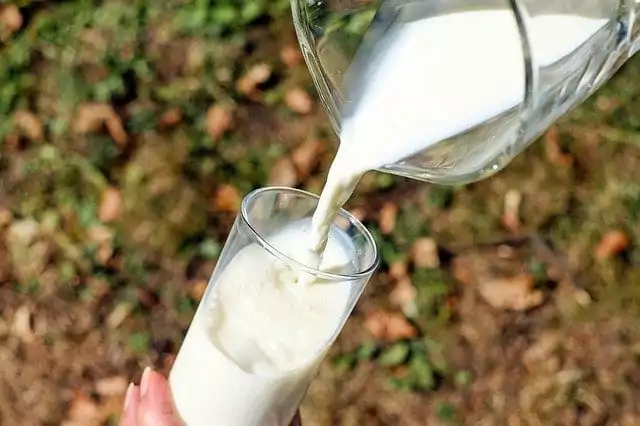 חלב כמקור לסידן